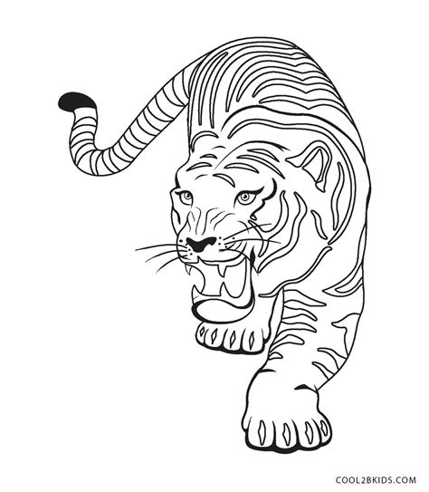 disegno tigre
